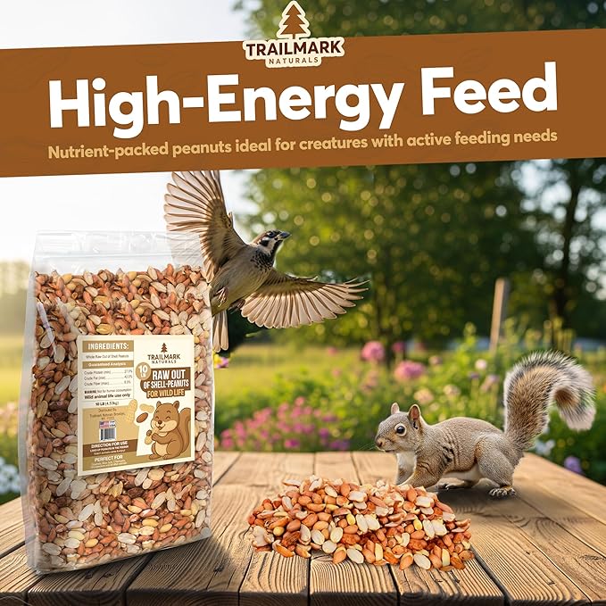 3 LB - Raw Shelled Peanuts For Squirrels, Out of Shell Peanuts For Birds and Wildlife- Squirrel Food, Wild Bird Seed - Grown in The USA