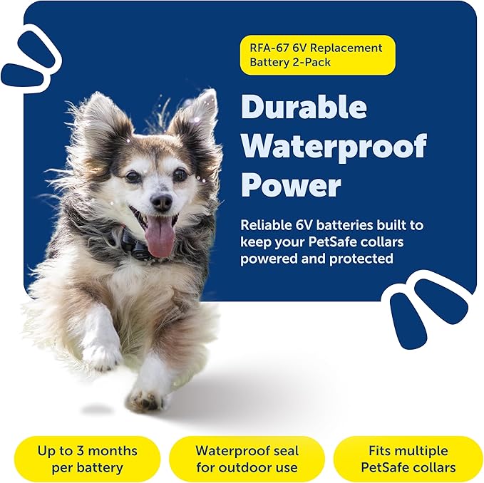 PetSafe Dog Collar Batteries (2 Pack) Dog Collar Battery Waterproof Lithium Metal Product, Rfa-67d-11