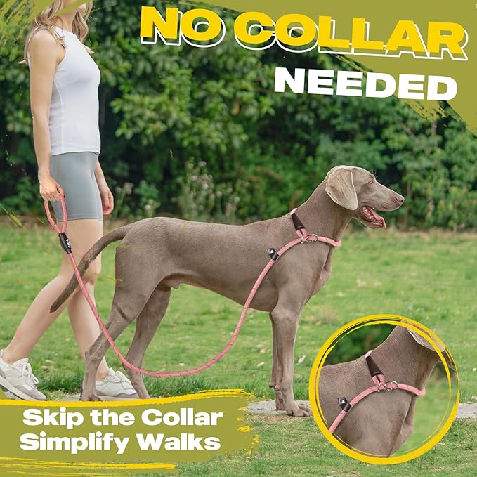 Fida Duarble Slip Leads for Dogs, 4 FT x 1/2" Heavy Duty Dog Loop Leashes, Comfortable Strong Rope Slip Leash for Small Dogs and Puppies, No Pull Pet Training Lead with Highly Reflective(1/2", Pink)