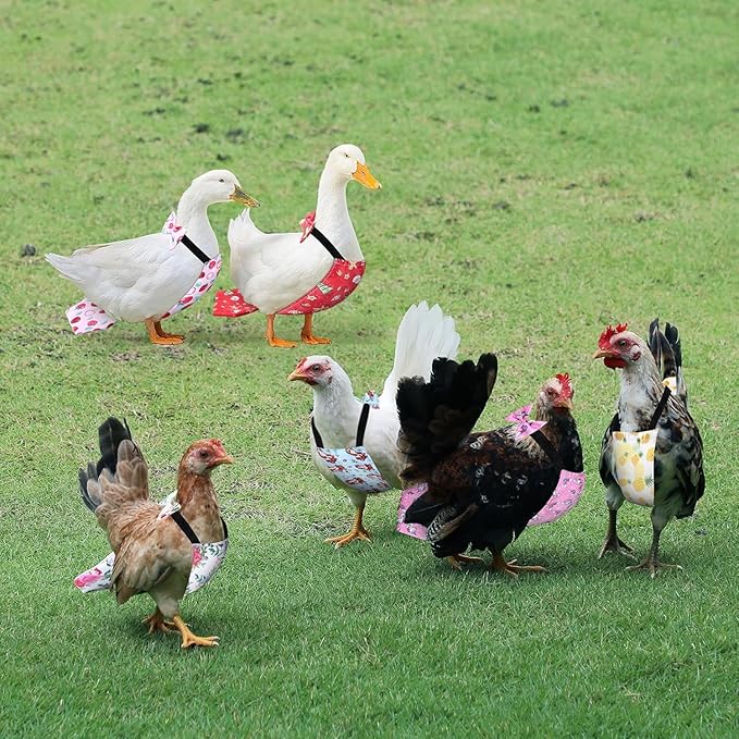 8 Pcs Chicken Diapers Bird Diaper Reusable Duck Diapers Waterproof and Adjustable Chicken Accessories Poultry(L)