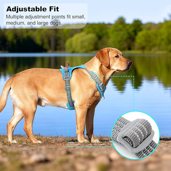 No Pull Dog Harness – Adjustable Reflective Nylon Vest for Small Medium Large Dogs, Escape Proof Training Harness with Leather Control Handle, Lightweight Aluminum Hardware (Cyan, XL)