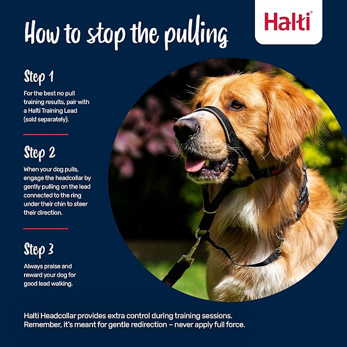 Halti Headcollar - Stop Your Dog Pulling on The Leash. Adjustable, Reflective and Lightweight, with Padded Nose Band. Dog Training Anti-Pull Collar for Medium Dogs (Size 2, Red)