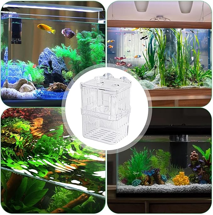 1/2 Fish Acclimation Box - Acrylic Hatchery Incubator Tank, Fish Breeder Box with 2 Suction Cups | Easily Install Breeding Isolation Box, Floating Breeding Box for Baby Fishes Shrimp Betta Guppy