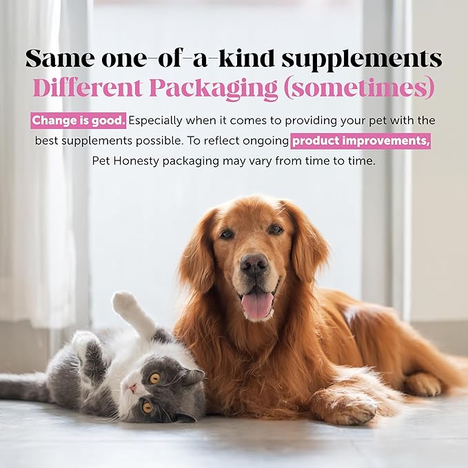 Pet Honesty Probiotics for Dogs - Digestive Enzymes Promotes Gut Health, Dog Probiotics for Bowel Support, Fiber for Regularity, Prebiotics for Immune Health & Gut Flora (Pumpkin, 180 ct)