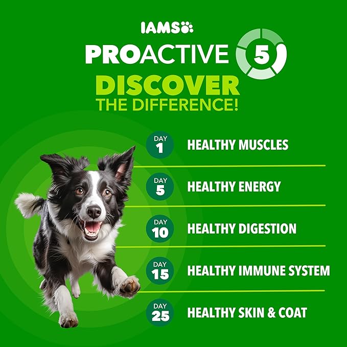 IAMS Proactive Health Adult Minichunks Dry Dog Food Chicken & Whole Grain Recipe, 7 lb. Bag