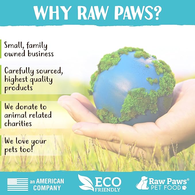 Raw Paws 10-inch Compressed Rawhide Bones for Dogs, 2-Count - Packed in USA - Long Lasting Dog Chews - Natural Pressed Rawhides - Large Dog Bones - Raw Hide for Aggressive Chewers