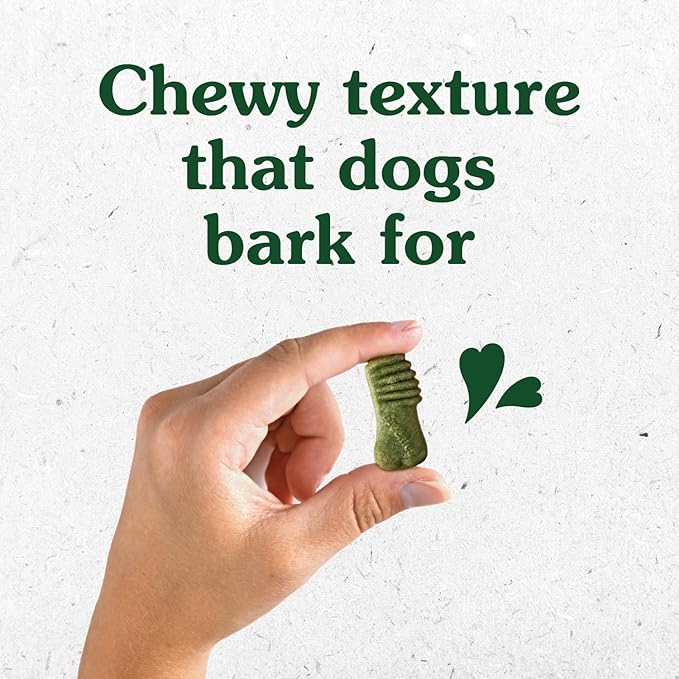 Greenies Anytime Bites Dog Treats, Mint Flavor, 10.3 oz. Bag (Pack of 2)