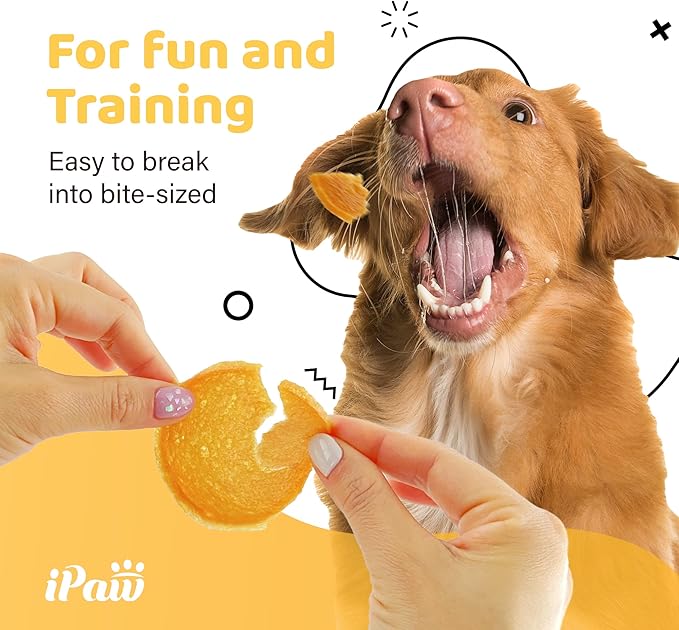 iPaw 2 Saver Combo Chicken Chips Dog Treats for Puppy Training, All Natural Human Grade Dog Treat, Hypoallergenic, Easy to Digest (Chicken Chips), 2 Packs