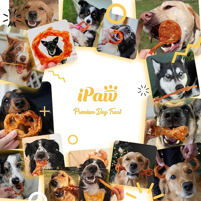 iPaw Turkey Tendon for Dogs, Ingredient Sourced from USA, Hypoallergenic, All Natural Human Grade Puppy Chew, Dog Treats for Signature Series, Rawhide Alternative, 4 Units/Pack Bone (Small)