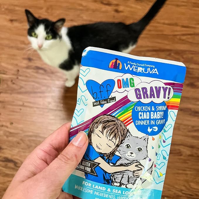 Weruva B.F.F. OMG - Best Feline Friend Oh My Gravy!, Chicken Charge Me Up with Chicken in Gravy, 2.8oz Pouch (Pack of 12)