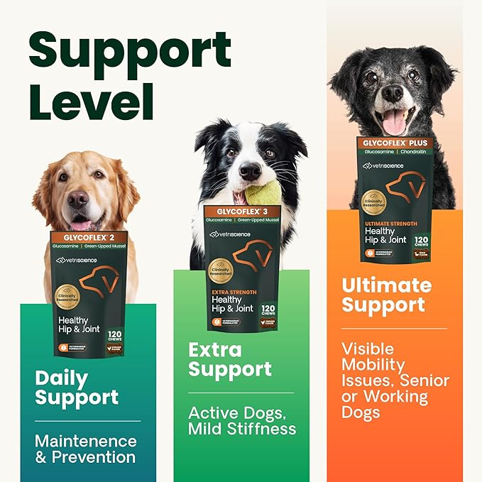 VetriScience Extra Strength Healthy Hip & Joint Chews, GlycoFlex Glucosamine and Green-Lipped Mussel Joint Support Supplement for Dogs, Chicken, 60 Count (Pack of 2)