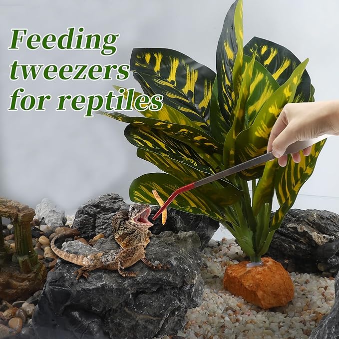 Reptile Feeding Tongs, Stainless Steel Lizard Feeding Tongs, Aquarium Curved Feeding Tweezers for Reptiles with Rubber Tip, Terrarium Feeding Tongs for Gecko, 14.96" Length, Red