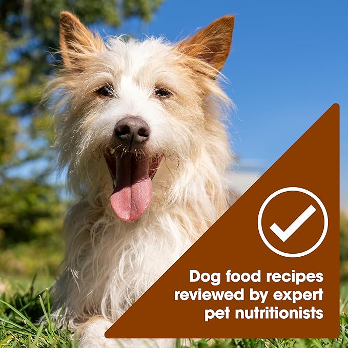 Nature's Recipe Grain Free Wet Dog Food, Chicken & Turkey Recipe, 2.75 Ounce Cup (Pack of 12)