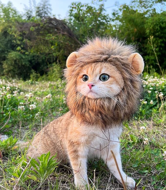 Lion Mane Wig for Cat,Cat Costume,Puppy Costume,Funny Pet Costumes for Halloween Christmas, Funny Pet Clothing Accessories (Large, Dark Brown)
