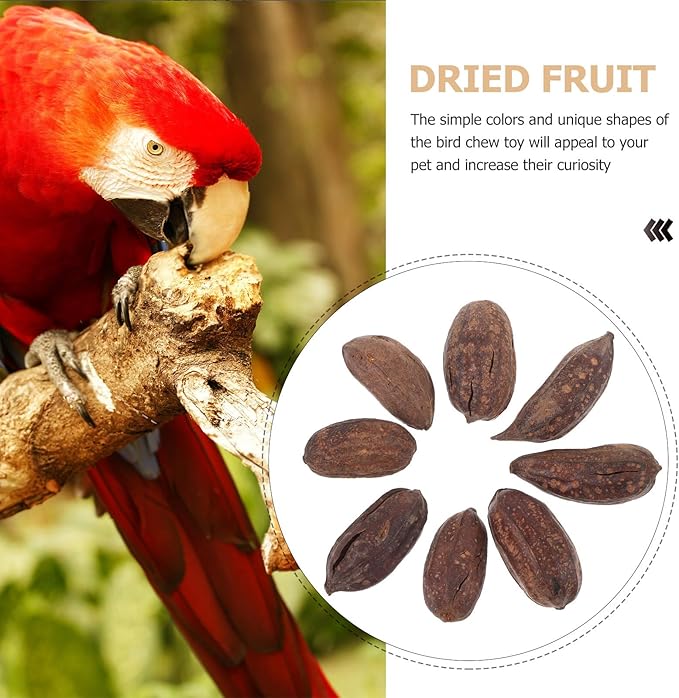 YARNOW 8pcs Natural Dried Fruit Bird Chew for Parakeets Cockatiels Parrot Biting to Mental Health and Prevent Boredom with Unique Shapes and Safe Materials