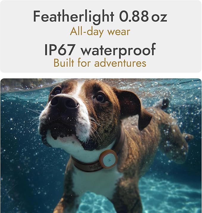 Molly&Cody GPS + Bluetooth Pet Tracker for Cats & Dogs – Real‑Time Tracking, Virtual Fence, IP67 Waterproof, Up to 60‑Day Battery, Health Monitoring, iOS/Android – Subscription Required (Gold)