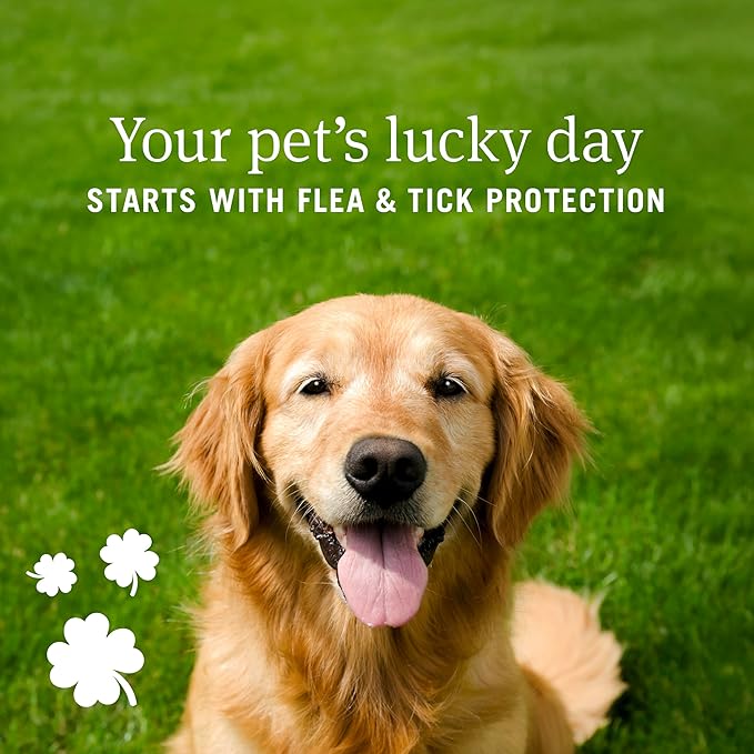 PetArmor Plus Flea and Tick Prevention for Dogs, Small Dog Flea and Tick Treatment, 12 Doses, Waterproof Topical, Fast Acting (5-22 lbs)