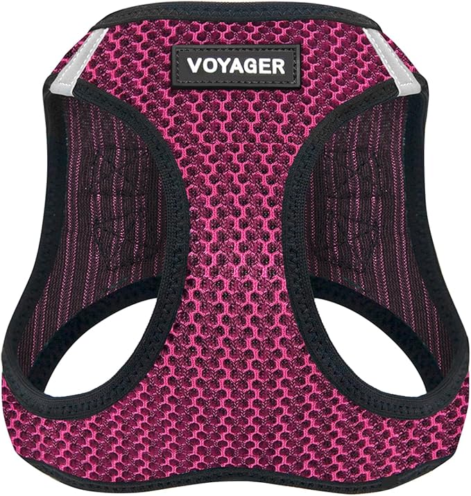 Best Pet Supplies Voyager Step-in Air Harness - All Weather Mesh, Reflective, No Pull Harness for Dogs, Cats - Secure with Hook & Loop Fastener, Buckle, Double D-Rings - Fuchsia 2-Tone, L