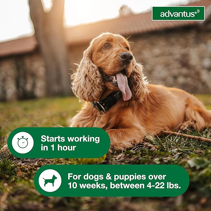Advantus Dog Fast Acting Oral Flea Treatment Soft Chews Dogs 4 - 22 lbs. | 30 ct.