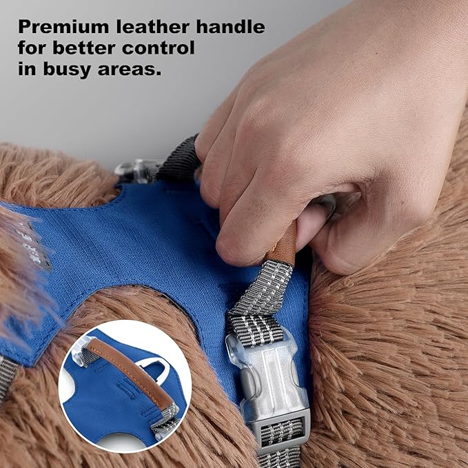 No Pull Dog Harness – Adjustable Reflective Nylon Vest for Small Medium Large Dogs, Escape Proof Training Harness with Leather Control Handle, Lightweight Aluminum Hardware (Royal Blue, M)