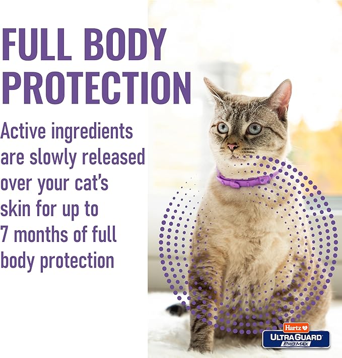 Hartz UltraGuard ProMax Flea & Tick Collar for Cats I 14 Months Protection I Soft & Comfortable | Flea & Tick Prevention I 2 Pack