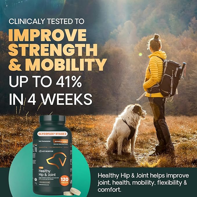 VetriScience Healthy Hip & Joint Chewable Tablets, GlycoFlex Glucosamine and Green-Lipped Mussel Joint Support Supplement for Dogs, Promote Mobility and Protect Joints, Chicken, 120 Count