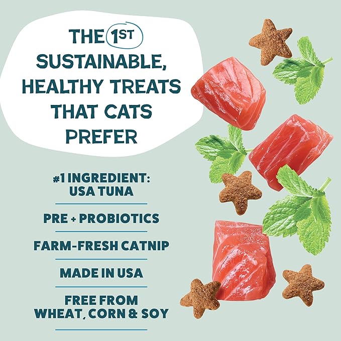 Shameless Pets Crunchy Cat_Treats - Catnip-Treats for Cats with Digestive Support, Kitten-Treats with Real Ingredients, Natural & Healthy Flavored Feline Snacks - Fintastic Catnip,(Pack of 2)