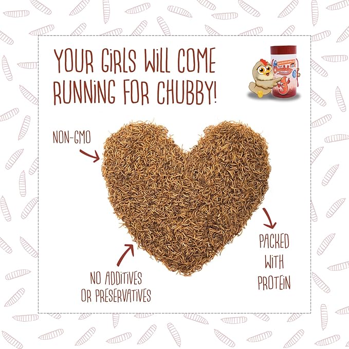 Chubby Dried Mealworms High-Protein Non-GMO Treats for Chickens, Ducks, Wild Birds & Backyard Pets