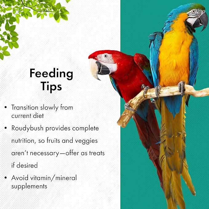 RoudyBush Low Fat Food for Adult Birds & Chicks - Scientifically Formulated Bird Feed, Bird Food Pellets w/Corn, Wheat, Soy & More - Nutritious & Healthy Feed for Birds (Crumble, 10lb)
