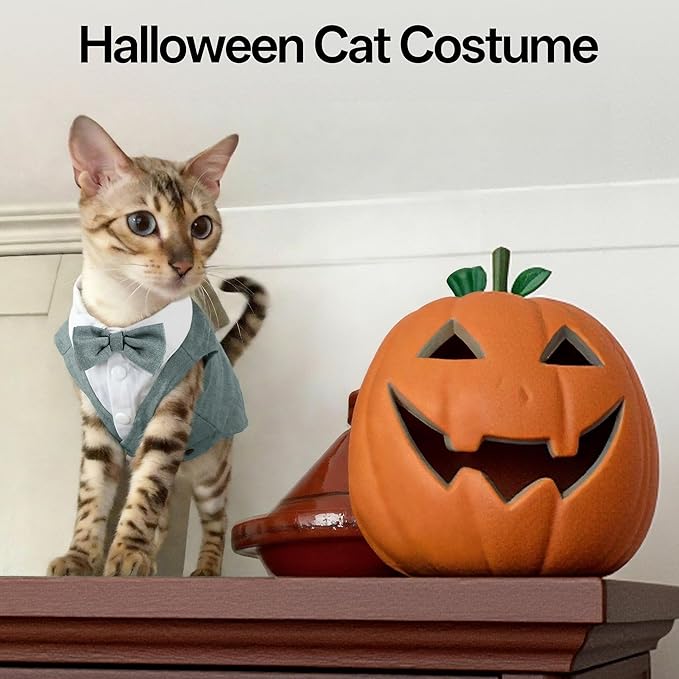 PUMYPOREITY Cat Tuxedo Suit Formal Wear with Bow Tie, Soft Skin-Friendly Cat Costumes for Cats Only, Elegant Outfit for Male Female Cats, Perfect for Wedding Birthday Photo Shoots, XL, Grey