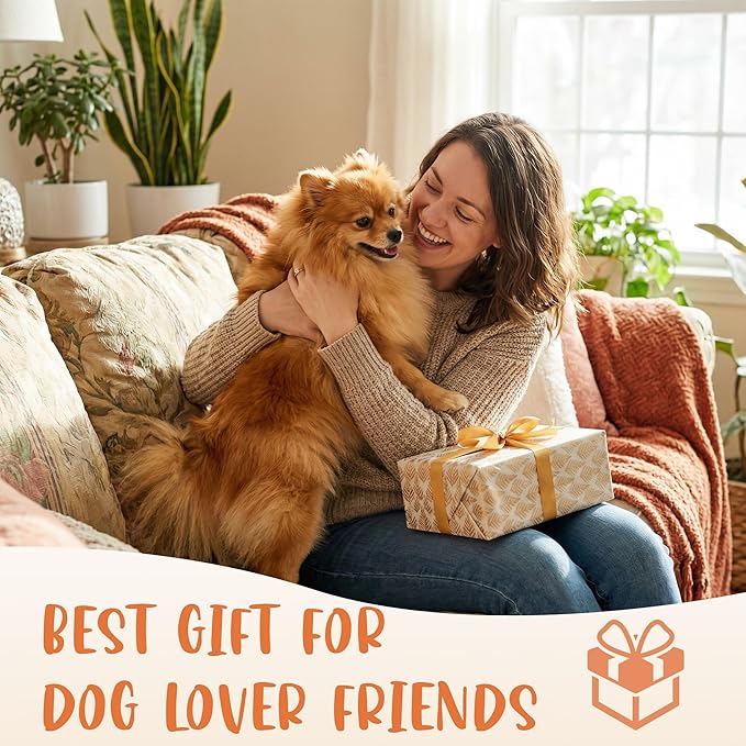 Dog Feeding Reminder Supplies with Magnet, Bone-Shaped Design Brushed Silver, Acrylic Pet Nursing Schedule for Breakfast & Dinner, Feed Slider with Bone Pattern, 2 Stickers 5.5 x 2.6inch
