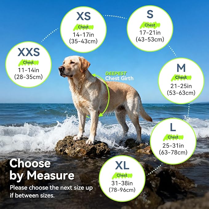 VIVAGLORY Rip Stop Dog Life Vest, Swimming Vest with Handle, Buoyancy for Doggy Puppy, Dog Life Jacket for Swimming & Boating, XXS, Turquoise
