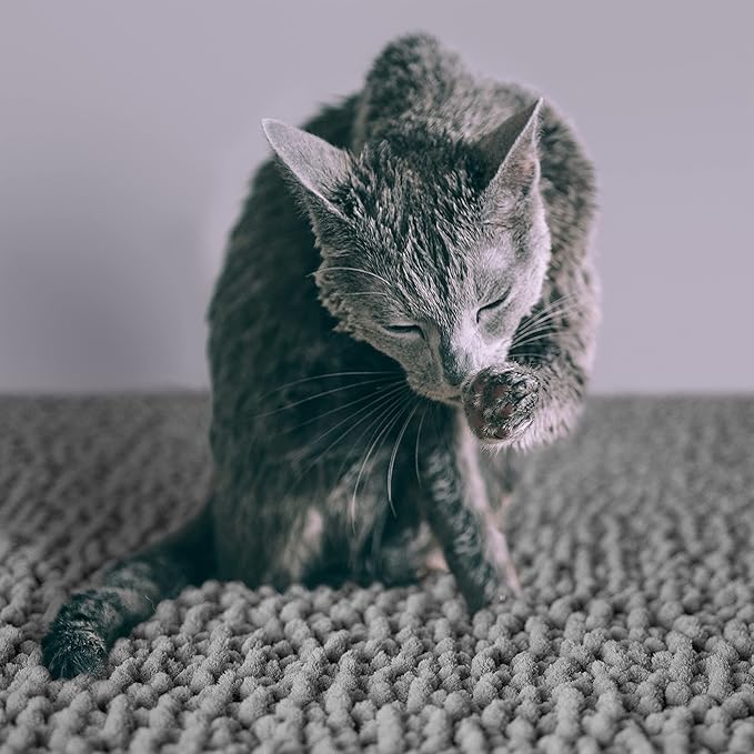 CatGuru Cat Litter Mat, Medium, Extra Large, XXL, Super Absorbent Litter Box Mat for Cats, Non Slip Trapping Mats, Machine Washable Kitty Trapping Pad, Cat Stuff (XXL, Grey/Standard)