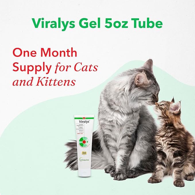 Vetoquinol Viralys Daily L-Lysine Gel for Cats and Kittens, Maple Flavored Lysine Supplement for Cats and Kittens to Support Immune Health, Normal Eye Function and Respiratory Health, 5oz