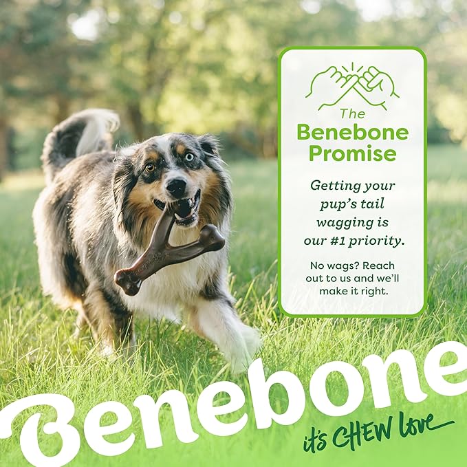 Large 3-Pack, Benebone Wishbone Durable Dog Chew Toy for Aggressive Chewers, Real Bacon, Chicken, Peanut Butter, Made in USA, Variety Pack