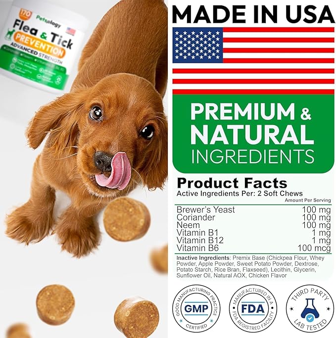 Natural Flea & Tick Chews for Dogs – Vet Formulated Supplement for All Breeds & Ages – Support for Skin & Coat – Made in USA