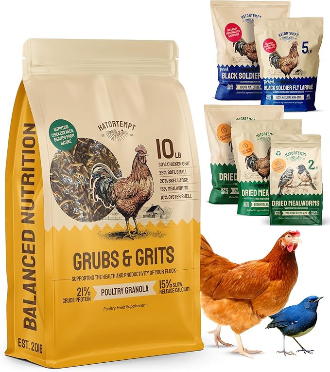 Hatortempt Chicken Feed Supplement - Non-GMO - Protein-Rich Mealworms, Black Soldier Fly Larvae & Oyster Shell - Calcium Grit Treats for Chickens - Egg Layer Feed Supplement (10 lb)