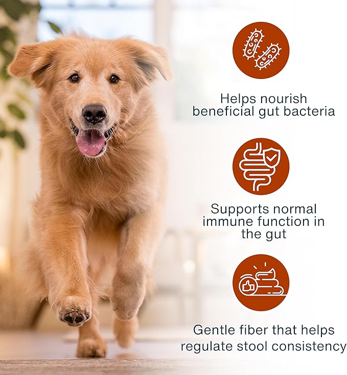 JustFoodForDogs JustFresh Boosts Sensitive Stomach Dog Food Topper with Fiber for Gut Support from Pumpkin, Oats, Psyllium, 8 oz Pouches - 8 Pack