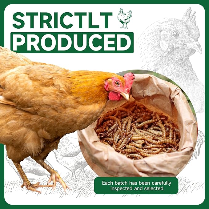 Black Soldier Fly Larvae Worms for Chickens, 5LB, 100% Natural Non-GMO BSFL Chicken Food, More Calcium Than Dried Mealworms, High Protein Chicken Treats for Layer Hens, Wild Birds, Ducks