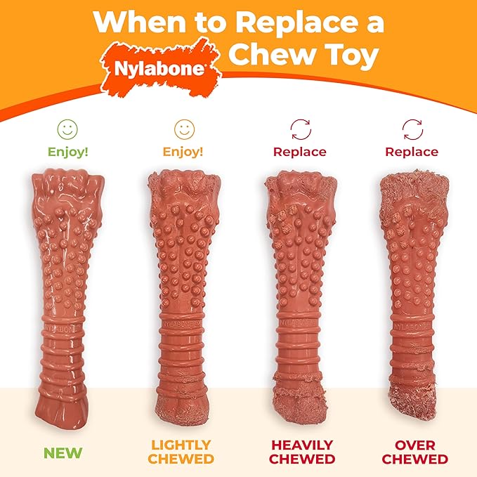 Nylabone Original Bone Power Chew Toy for Dogs, Durable & Tough Dog Toys for Aggressive Chewers, Original Flavor, Small - Up to 25 Ibs, 1 Count
