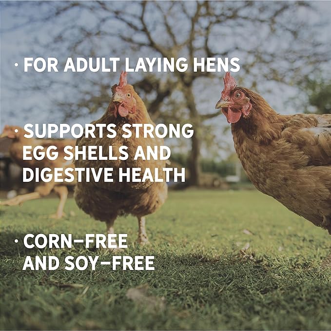New Country Organics | Corn-Free Classic Layer Chicken Feed for Laying Hens | Corn-Free and Soy-Free | 17% Protein | Certified Organic and Non-GMO Chicken Food | 50lbs Bag