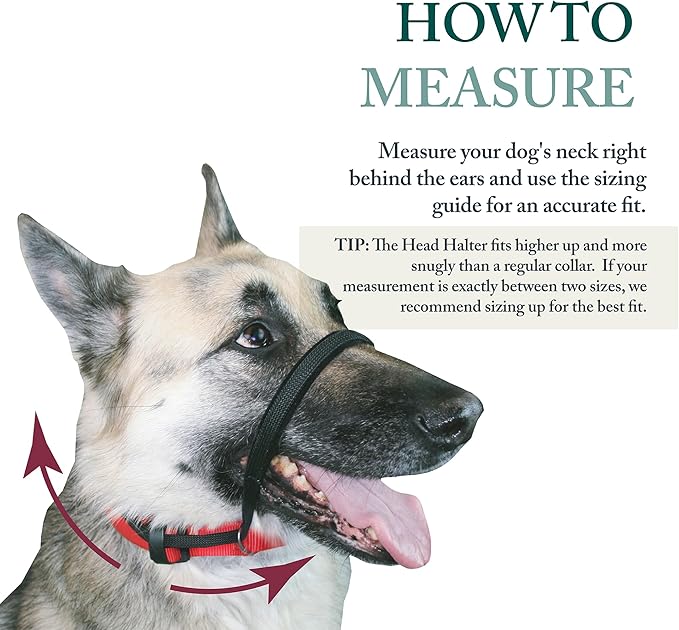 Sporn Medium Dog Head Halter for Dogs, Black Dog Stop Pulling Leash with Thick Muzzle Harness No Pull Head Collar for Dogs, Anti Pulling Collar for Comfort Face Harness