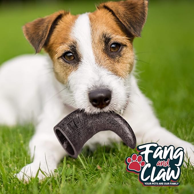 Water Buffalo Horn Dog Chew 4 Pack - Small 4" - All Natural Free Range Grass Fed Single Source Protein - No Chemicals, Additives, Hormones - Long Lasting, Good for Aggressive Chewers – by Fang & Claw