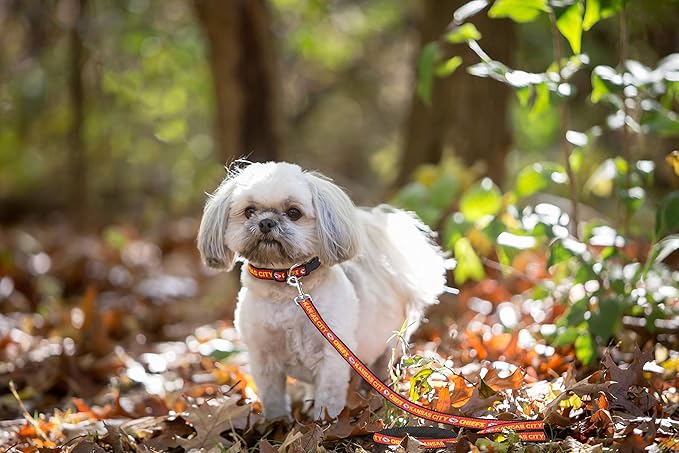 Pets First NFL Licensed Kansas City Chiefs Pet Leash, Size Medium – Durable Satin Dog & Cat Walking Strap and Pet Tether with Embroidered Team Name & Logo