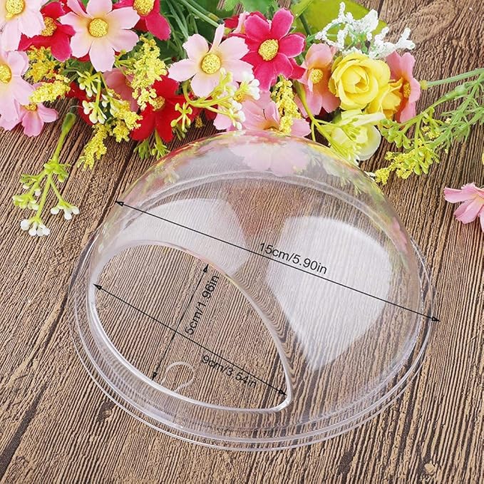 GREENWISH 2Pack 5.9'' Wall Mounted Clear Acrylic Round Fish Tank Flower Pot Vase Decoration Wall Hanging Mount Fish Bowl Fish Bubble Aquarium Decorative Plant Pot Hanging Hydroponic Pot