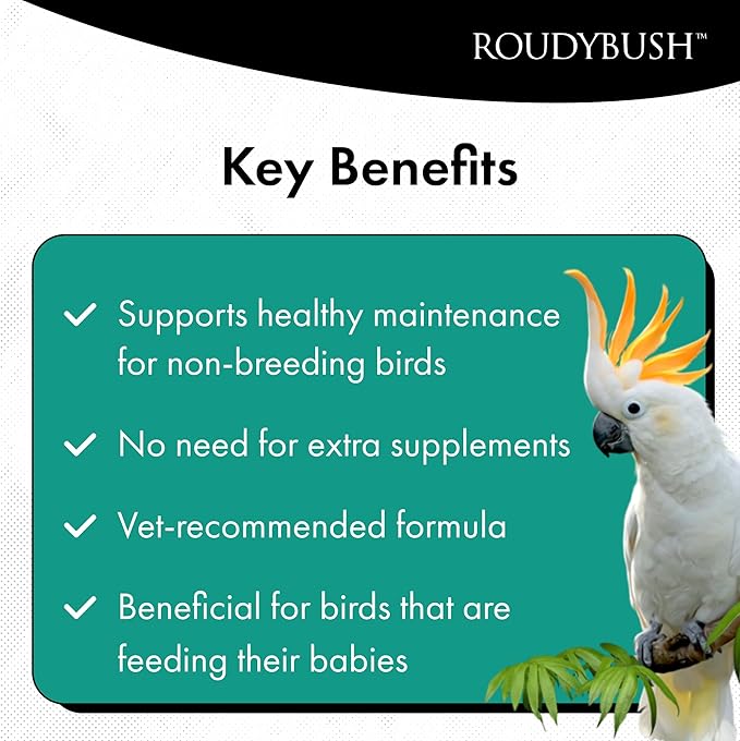 Roudybush Daily Maintenance Food for Birds - Scientifically Formulated Bird Feed - Bird Food Pellets w/Corn, Wheat, Soy & More - Nutritious & Healthy Feed for Birds (Medium , 8oz)