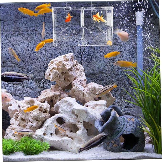 Hatching Incubator Box Aquarium Breeding Accessory Isolation Tank for Aggressive Injured Fish Plastic Material
