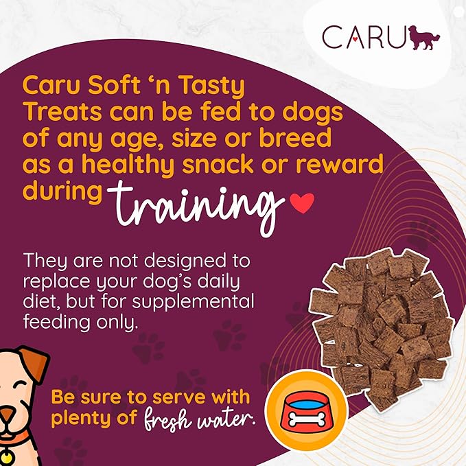 CARU - Soft 'n Tasty Baked Bites - Salmon Bites Dog Treats - Flavorful Training Treats - 4 oz