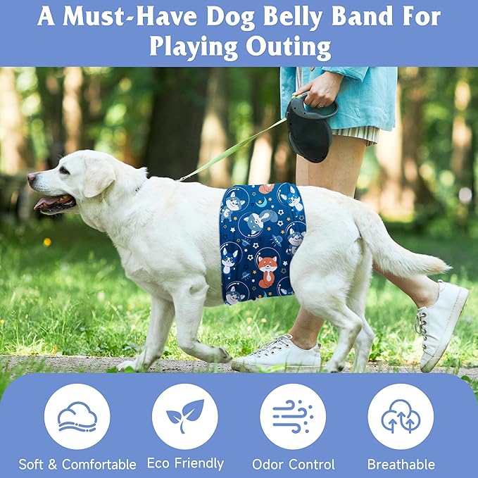 5 Pack Dog Diapers Male Reusable, Premium Belly Bands for Male Dogs, High Absorbing Dog Pee Wraps for Doggie in Incontinence or Training Flower M