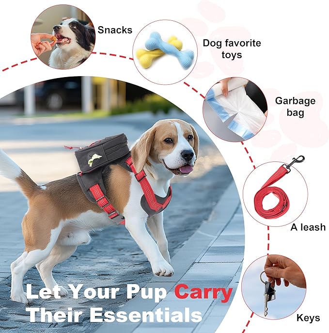 Dog Backpack Harness for Small and Medium Dogs, Adjustable Lightweight Carrier with Detachable Backpack and Leash, Water Resistant for Hiking, Training, and Daily Walks, M